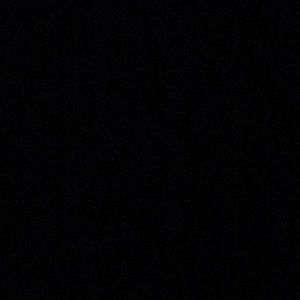 Meet your Posher, Andreina